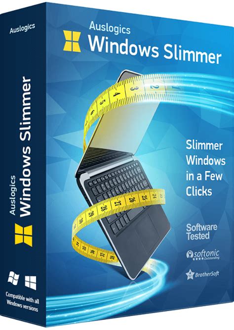 Auslogics Windows Slimmer Professional 